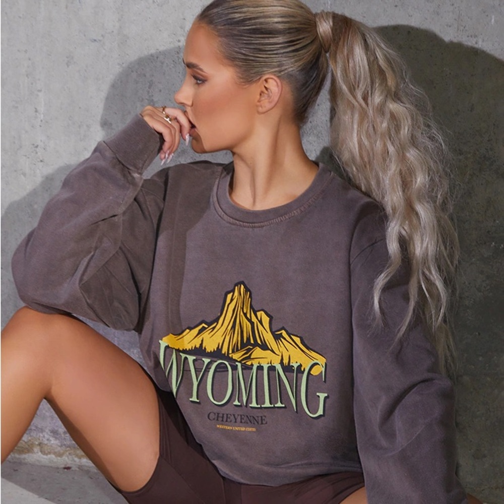 Chocolate Wyoming Graphic Printed Washed Sweatshirt